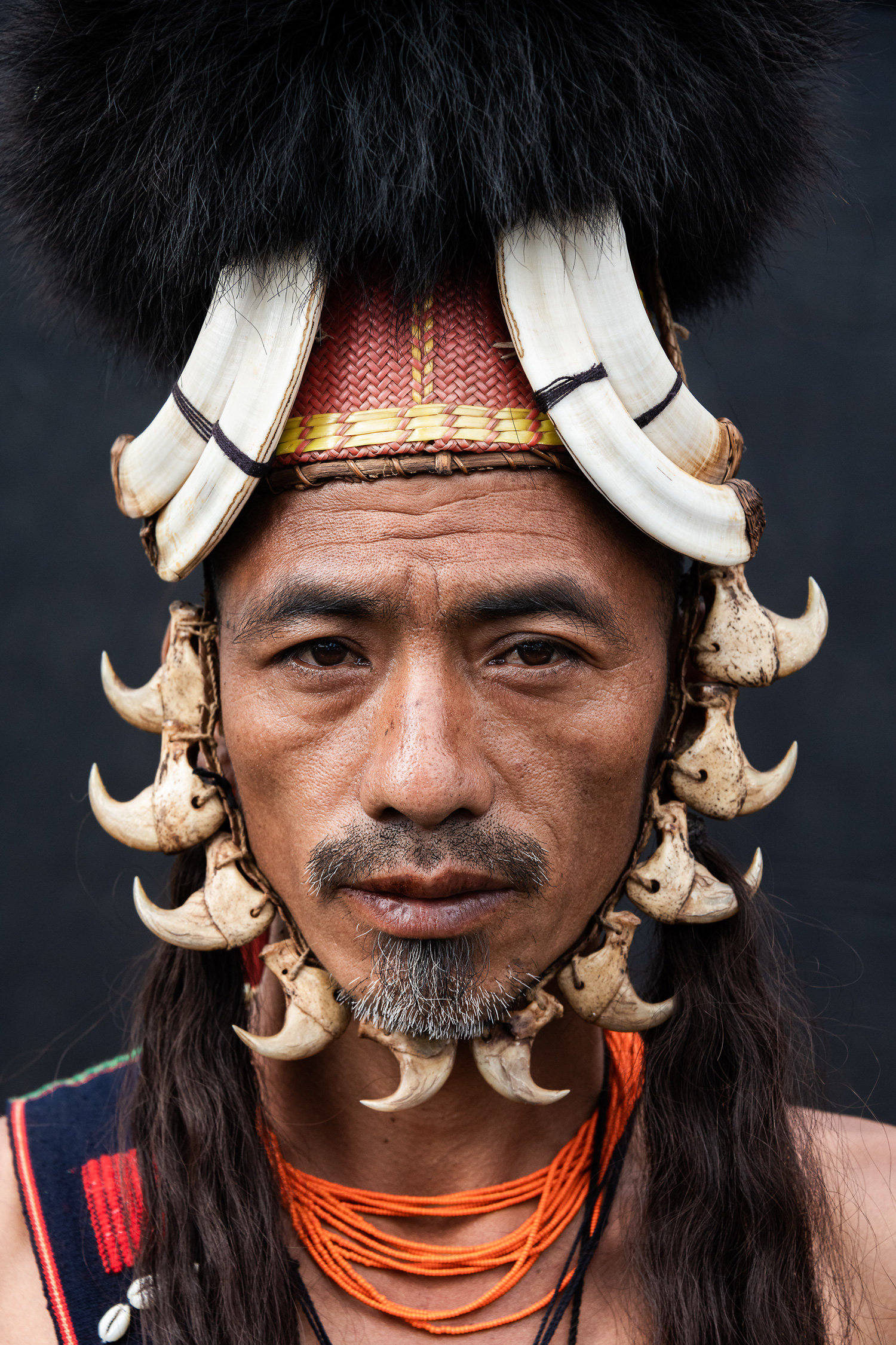 Portrait of a Naga Tribal in traditional attire